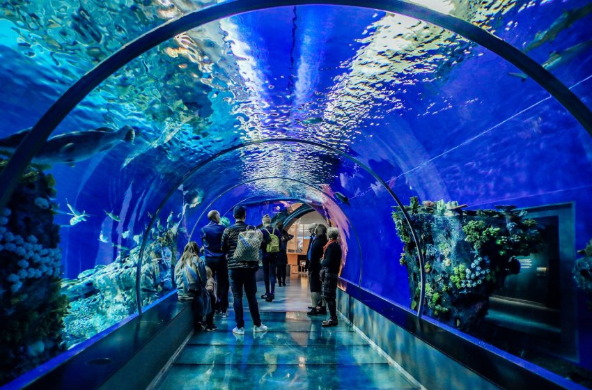 マルタ水族館